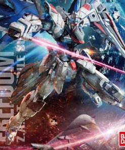 MG Freedom Gundam Ver 2.0