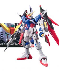 RG 11 Destiny Gundam