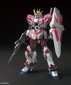 Alternative view of HG UC 222 RX-9/C Narrative Gundam C-Packs