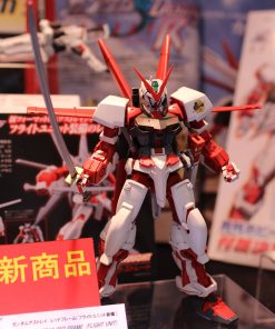 HG Gundam Astray Red Frame (Flight Unit) - Ảnh 4