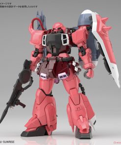 MG Gunner Zaku Warrior (Lunamaria Hawke Custom) - Ảnh 3