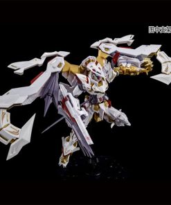 P-Bandai RG Astray Gold Frame Amatsu Hana - Ảnh 6