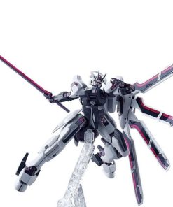Alternative view of HG Gundam Schwarzette