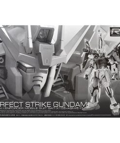 Alternative view of P-Bandai RG Perfect Strike Gundam