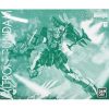P-Bandai MG Altron Gundam EW