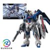 HG CE Rising Freedom Gundam